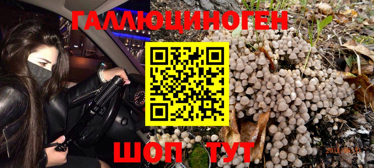 Галлюциногенные грибы MAGIC MUSHROOMS  Вход с VPN  продажа наркотиков  Большой Камень 