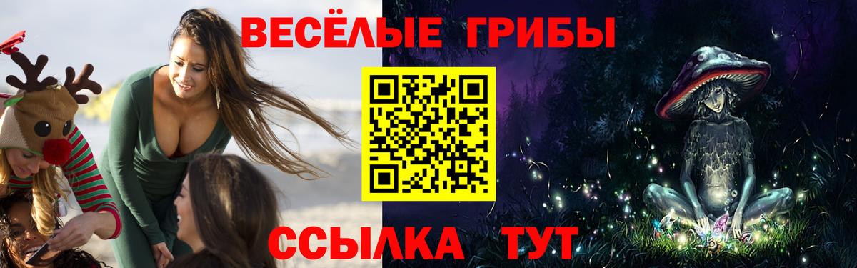 Галлюциногенные грибы MAGIC MUSHROOMS Большой Камень